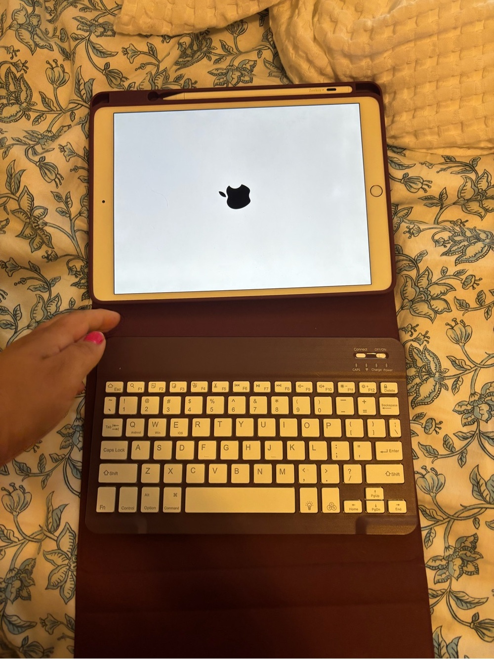 iPad Air 3